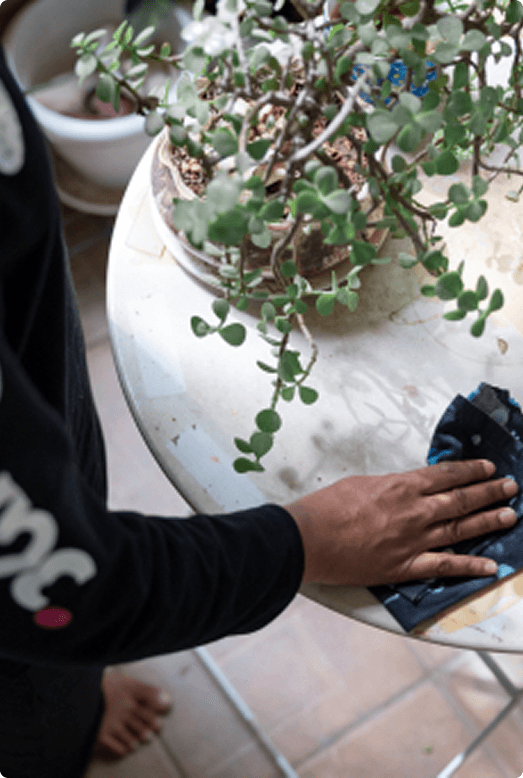 Gardening Services in Bangalore